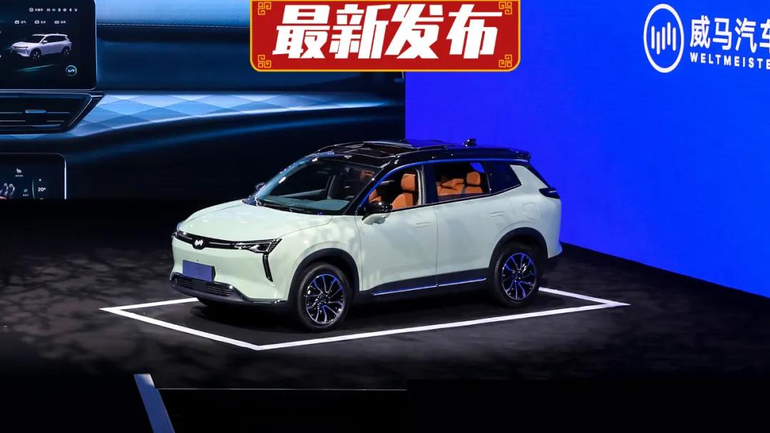 不做富人大玩具？威马W6售价16.98万元起