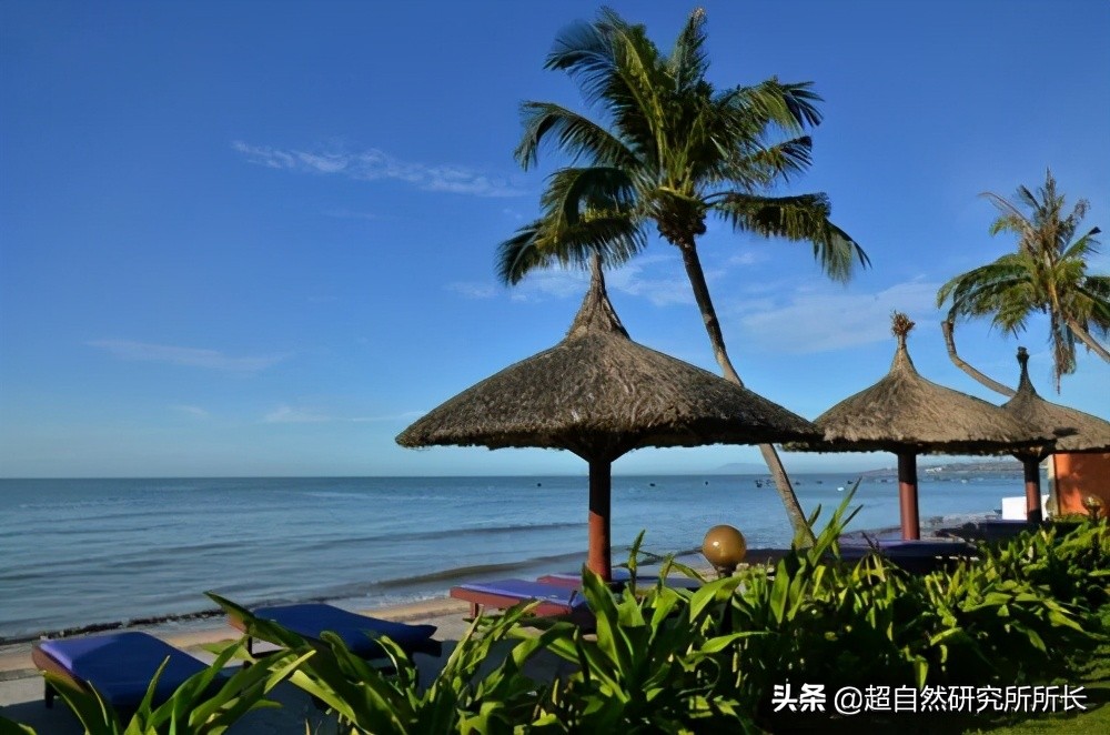 一位法國老人的外星之旅，帶回了一切未解之謎的終極答案