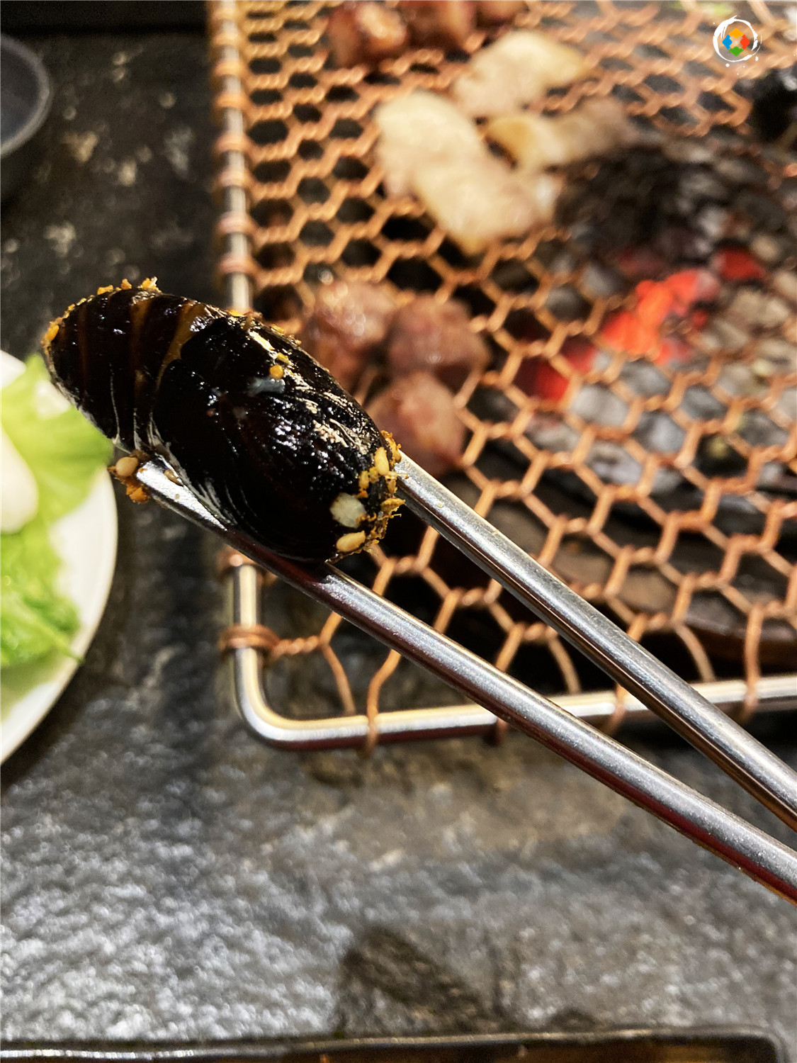 在重庆烤肉店里吃蚕蛹，老板不小心说漏嘴：我自己从来不吃