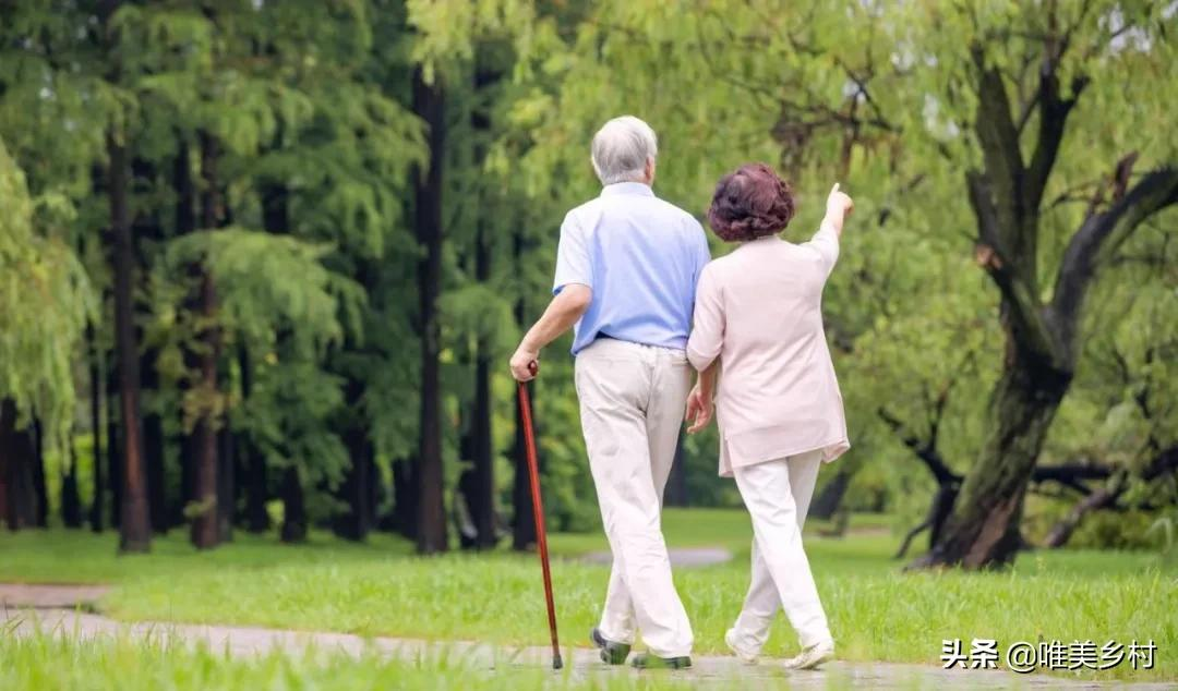 乡村振兴将给年轻人带来什么机遇？三大方向，破局“农业+”