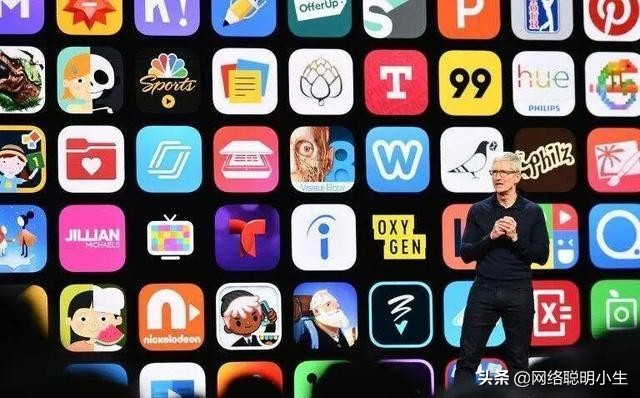 美国有安卓和苹果，国内手机厂商众多，为何没