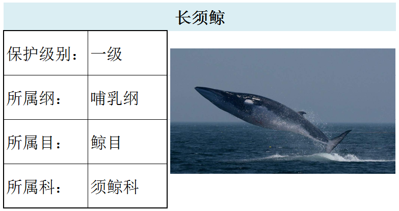 北须鲸181.鳀鲸180.小鳁鲸170.灰鲸169.海湾鼠海豚168.江豚167.