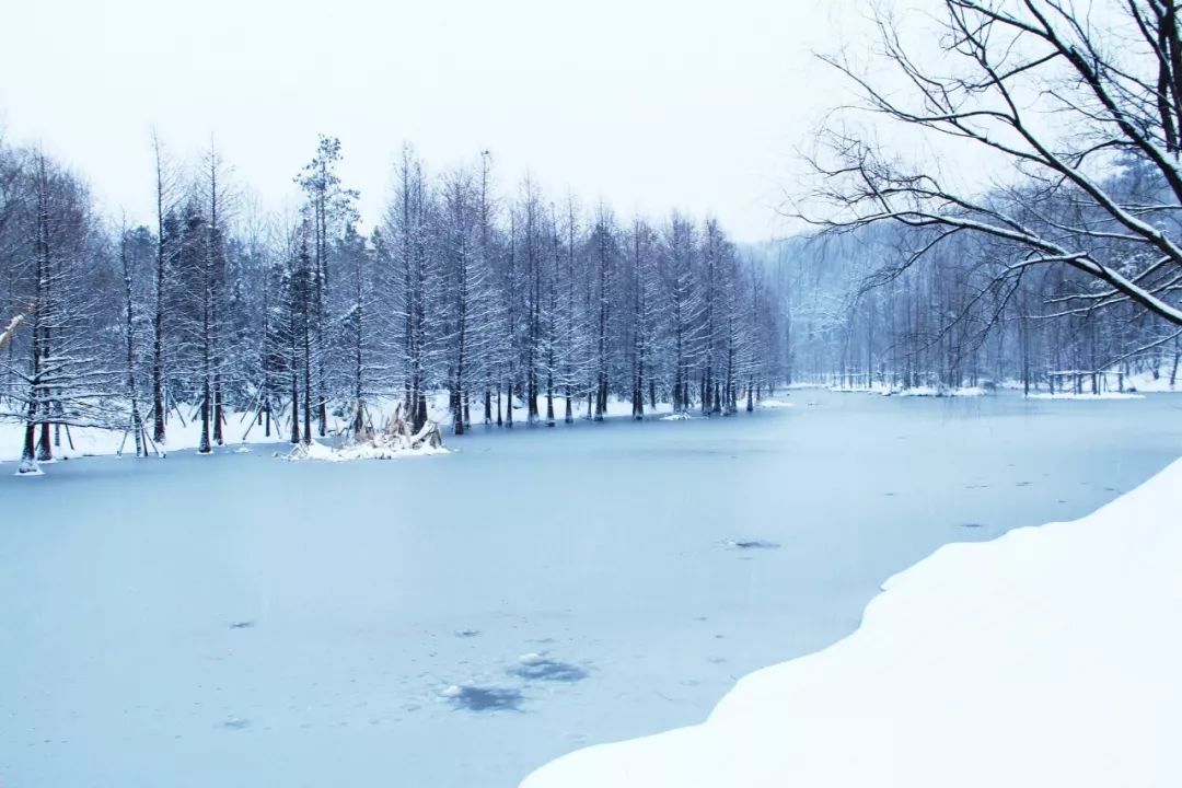 8首最著名的冬日诗词-第1张图片-诗句网