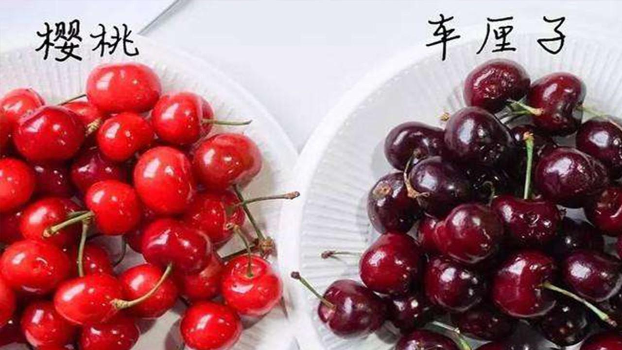 Car a unit of weight child how fire rises, because had better eat,nature is, still the winter eats cherry hard