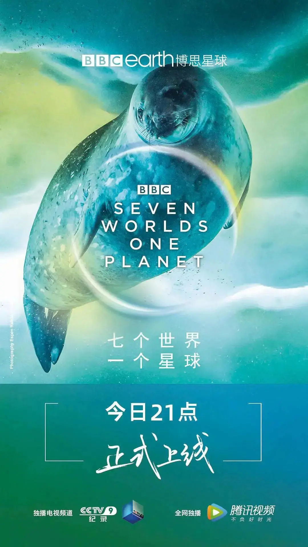 16部超赞自然纪录片,让孩子足不出户看到地球的“真实面目”!