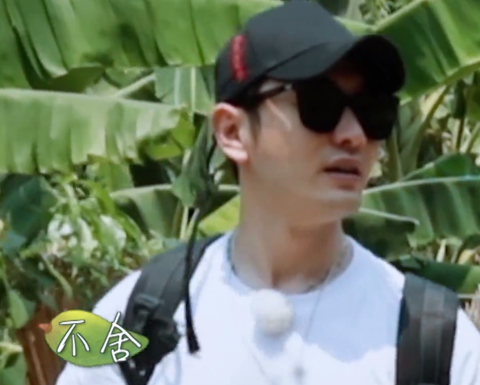 黄磊没出门送黄晓明，回到蘑菇屋的两个举动，透露内心情感