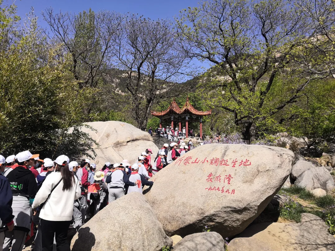花开春盛游人醉！本周末天蒙山再迎“踏青赏花游”客流小高峰！