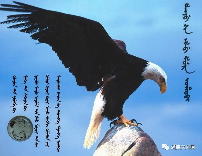 我用这些来证明我是满洲人