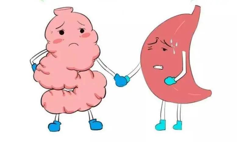 奇怪！胃里竟长出来个胰腺