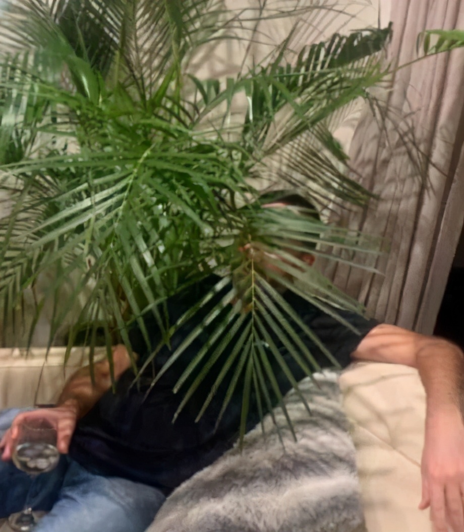 为什么人一过40岁，就喜欢把家里搞成植物园？