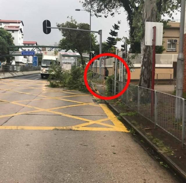 周润发爬山被偶遇，双鬓斑白满脸沧桑，帮受伤老太处理伤口太善良