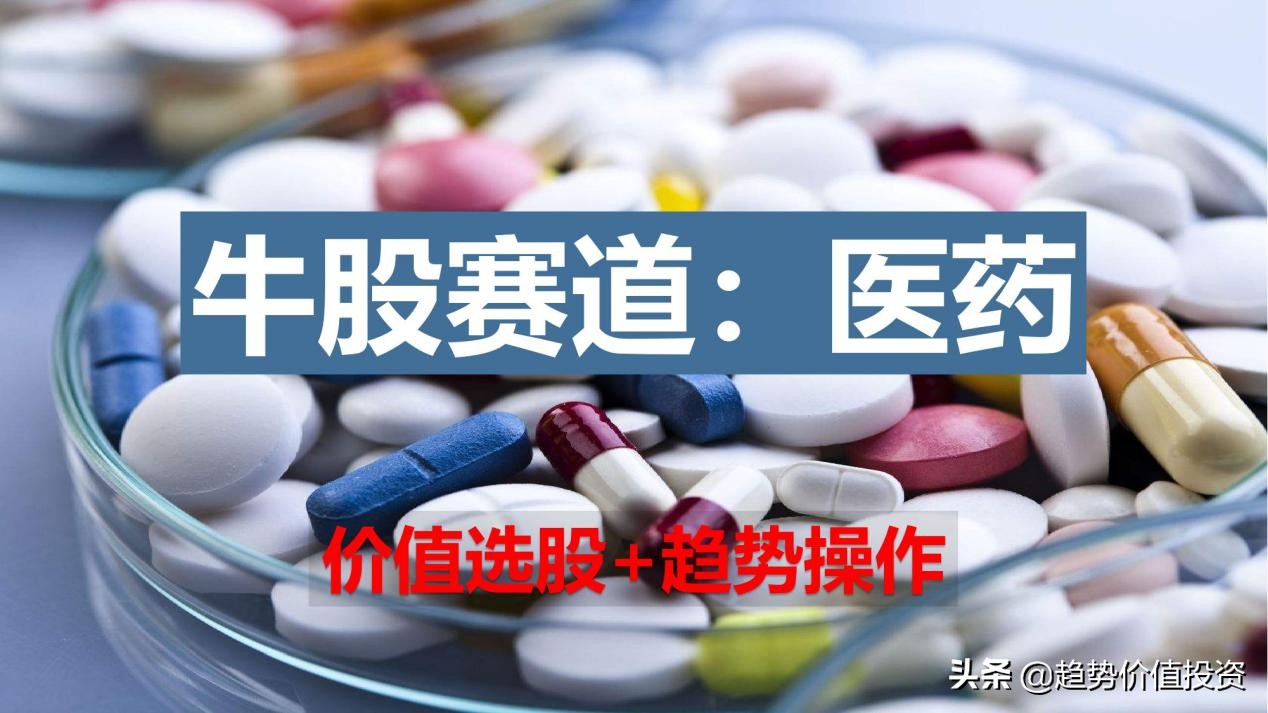 最牛细分赛道之一医药行业，未来投资机会的探索