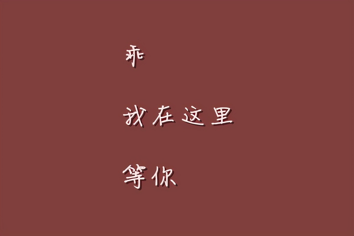 你还会写情书吗表白只是锦上添花