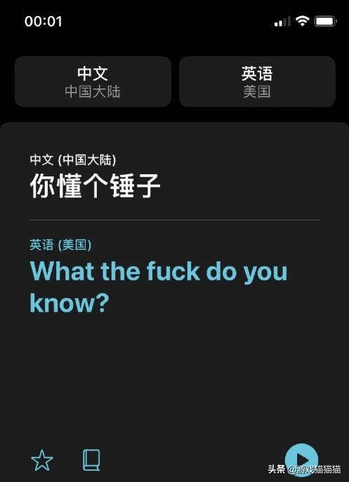 iOS14的翻译也太懂了，听到五五开翻译时，直接起立