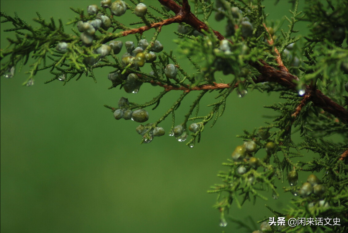 “又得浮生一日凉”，走背字的苏轼，随遇而安，顺其自然-第3张图片-非凡网