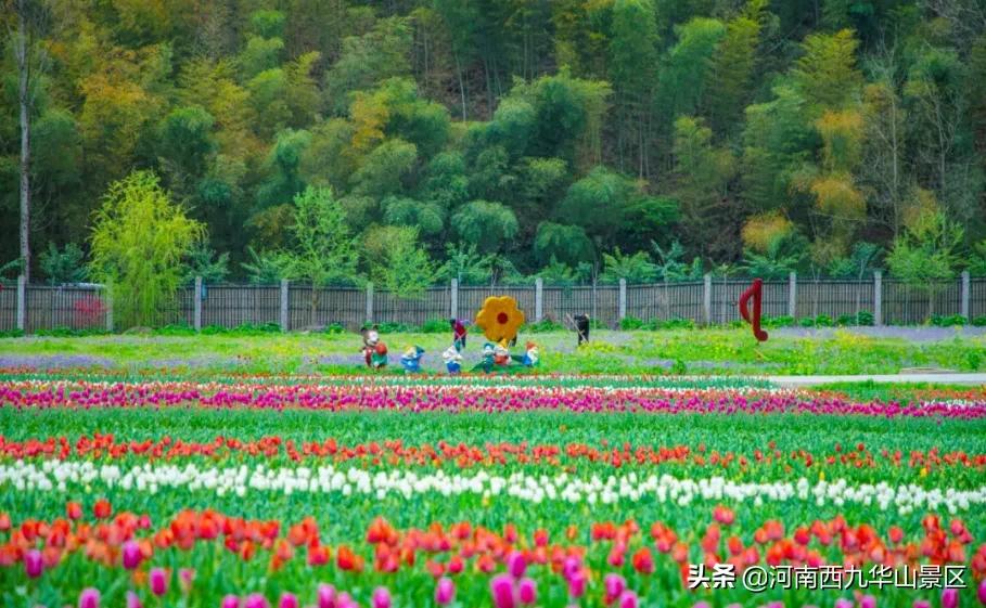 三月相約西九華山，共賞百萬郁金香，嗨玩草原親子樂園！