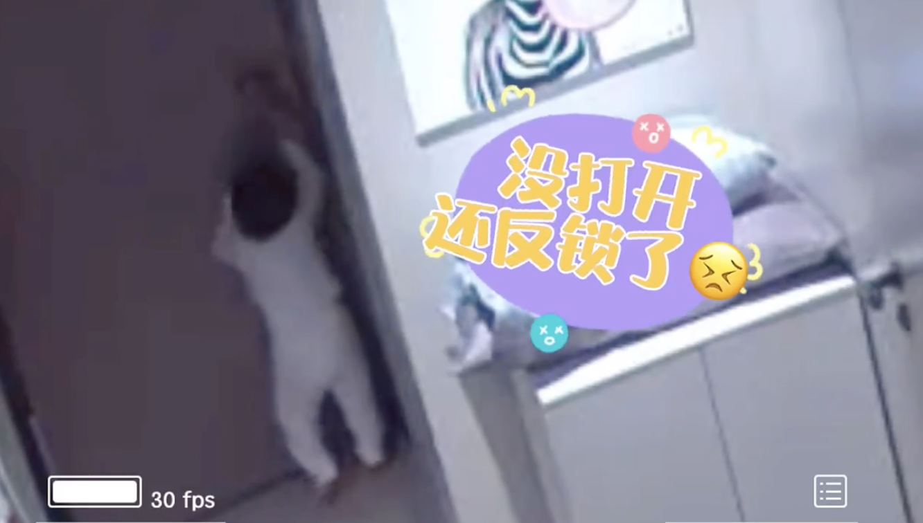安以轩2岁儿子再“越狱”，翻出床围还将门反锁，沉着应对超淡定