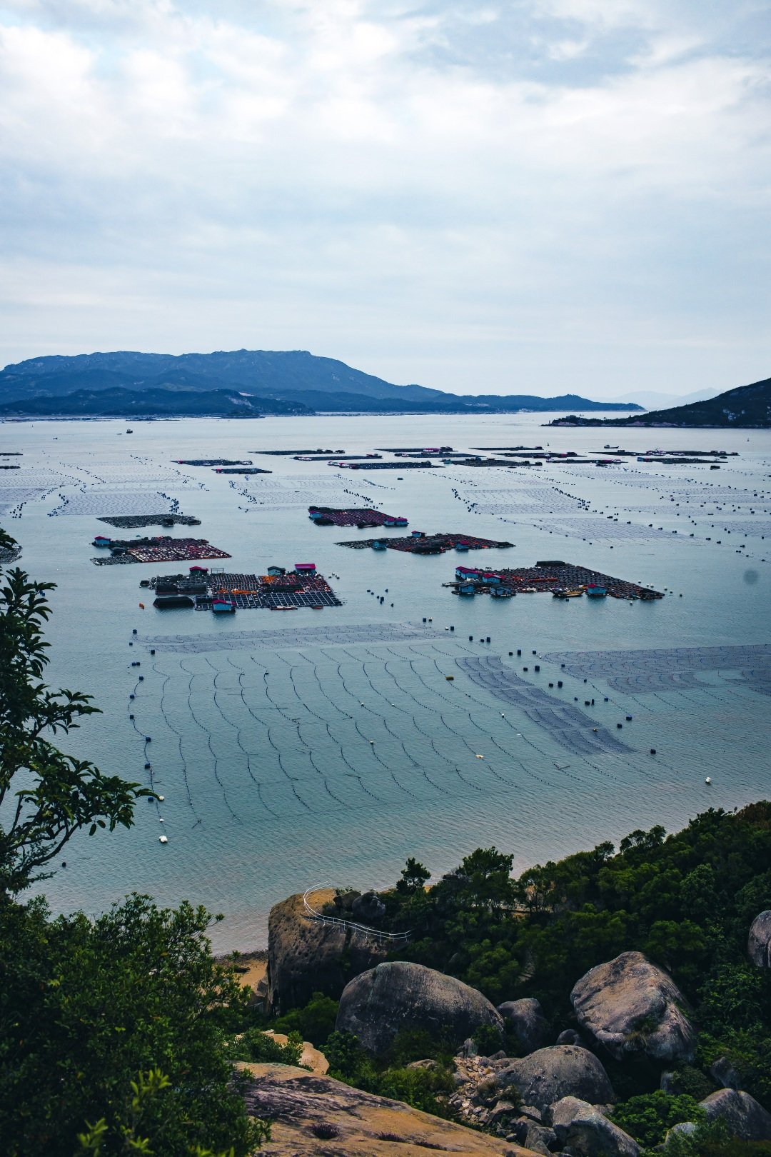 漫步在霞浦的海边，遇见最美的滩涂时光