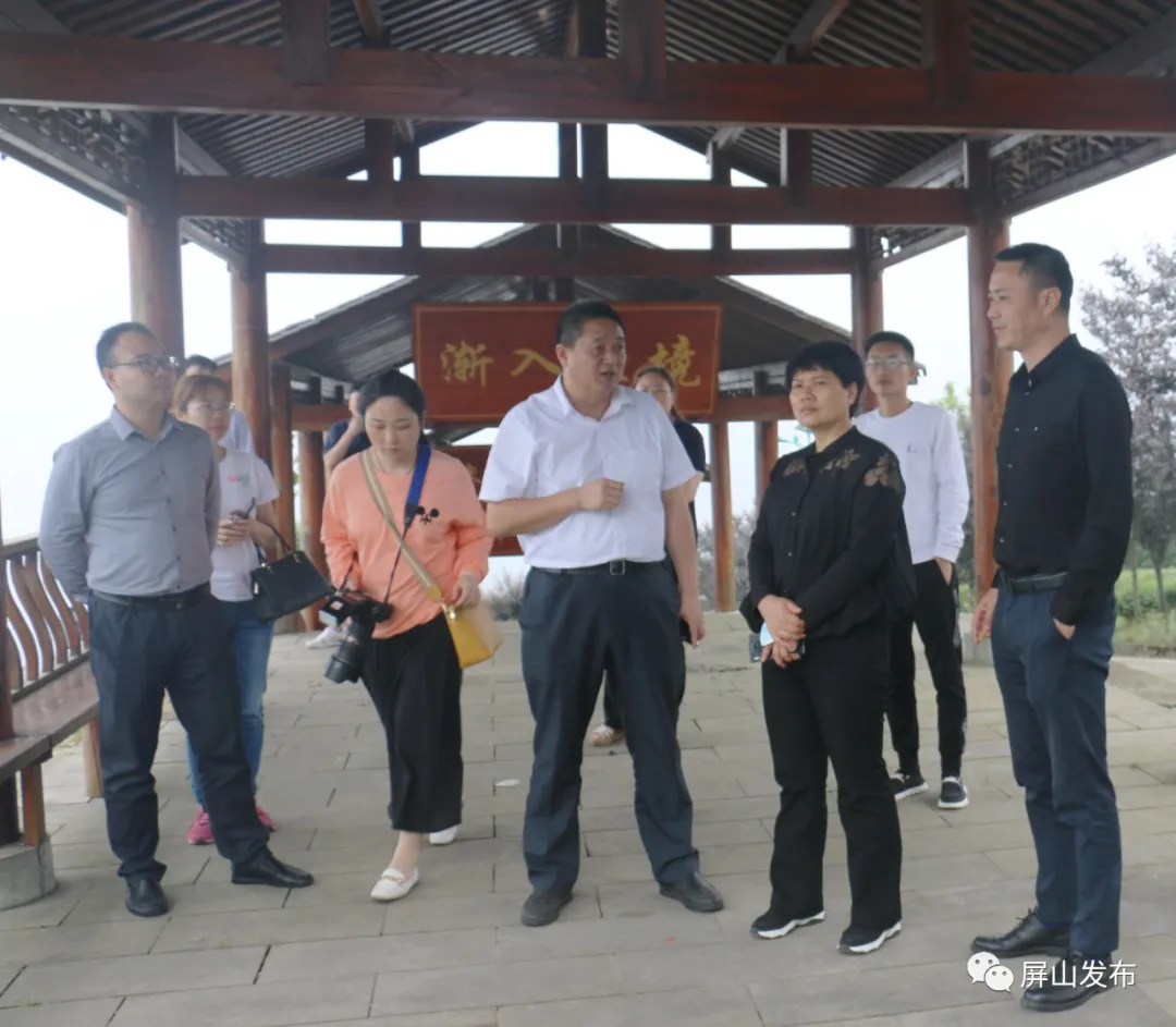 当天,张世英一行还现场参观了大乘镇双峰村富硒茶叶基地和宜宾市名优