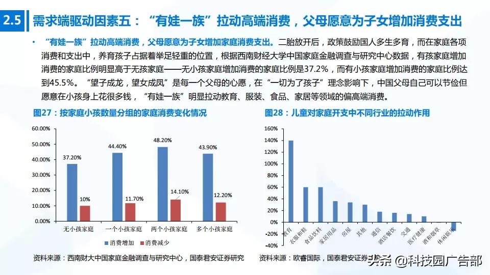 2020年中国高端消费品专题报告