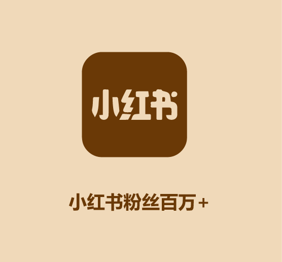 30秒认识李子柒