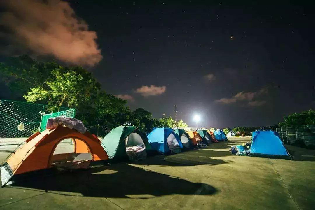 第二十七届前卫金秋生态文化旅游节 暨三角梅主题特展