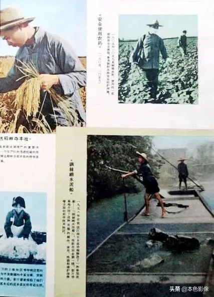 六十年代国产电影大全(1963)