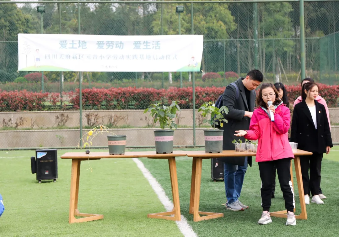 “我们”有一块地这就播种去丨天府新区元音小学劳动实践基地启动
