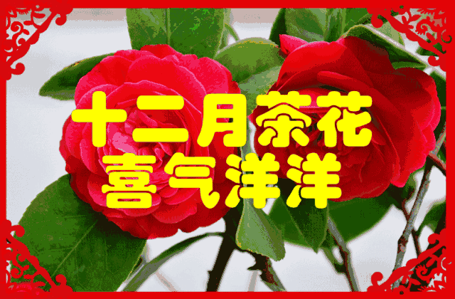 今日元宵节，祝福送上