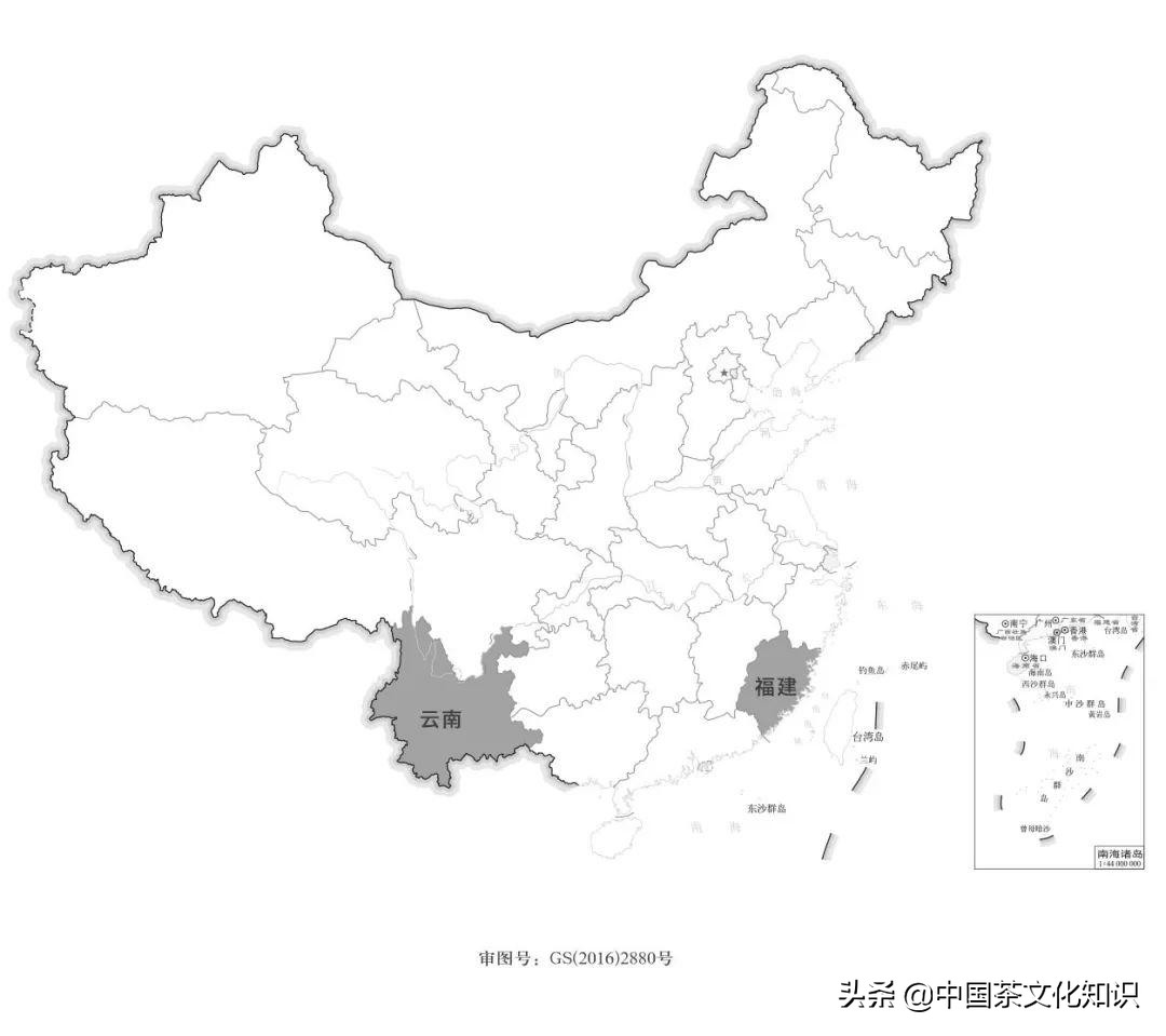 一篇文章看完全中國99%的茶（一定要收藏）