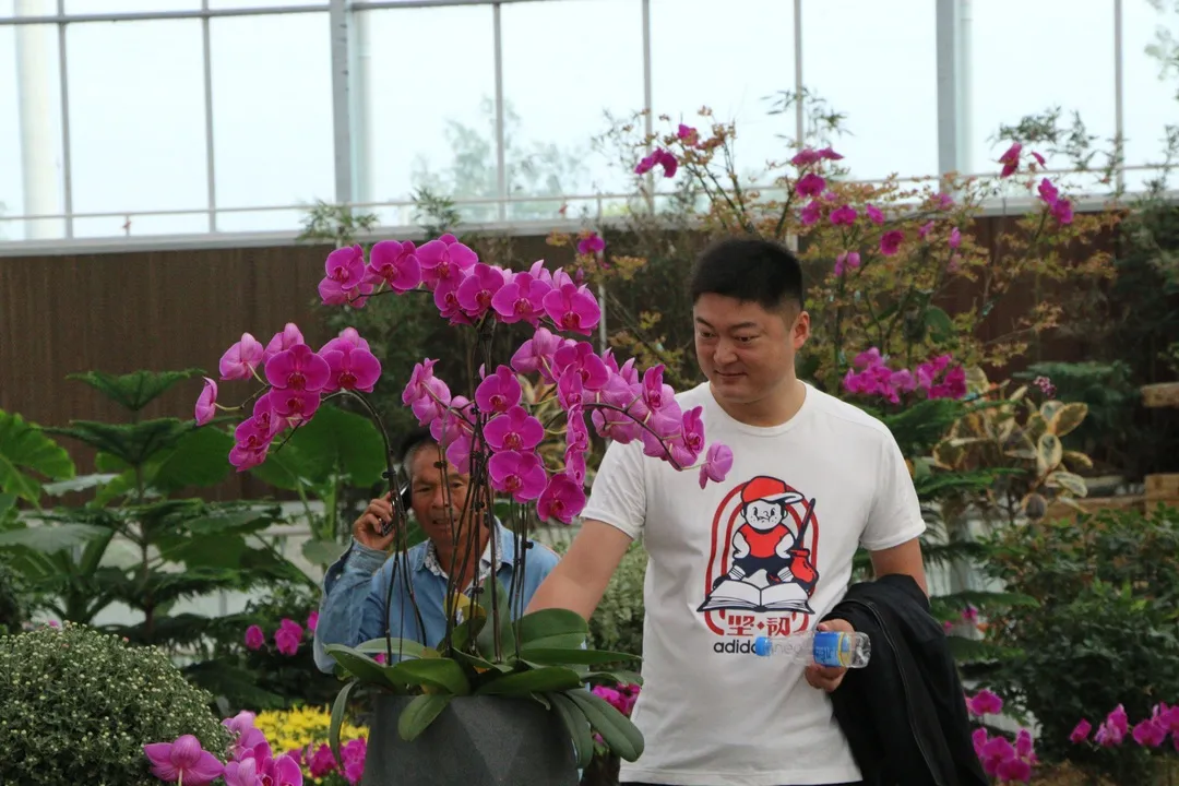 江苏沭阳：国庆时期花木买卖额达8.2亿元