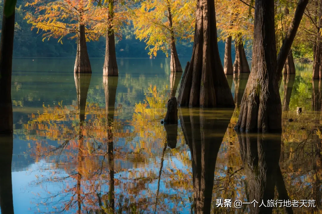 广东旅游热度NO.1的地方，一到10月，美成世外桃源