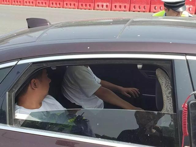 2021年后排不系安全带，面临什么处罚