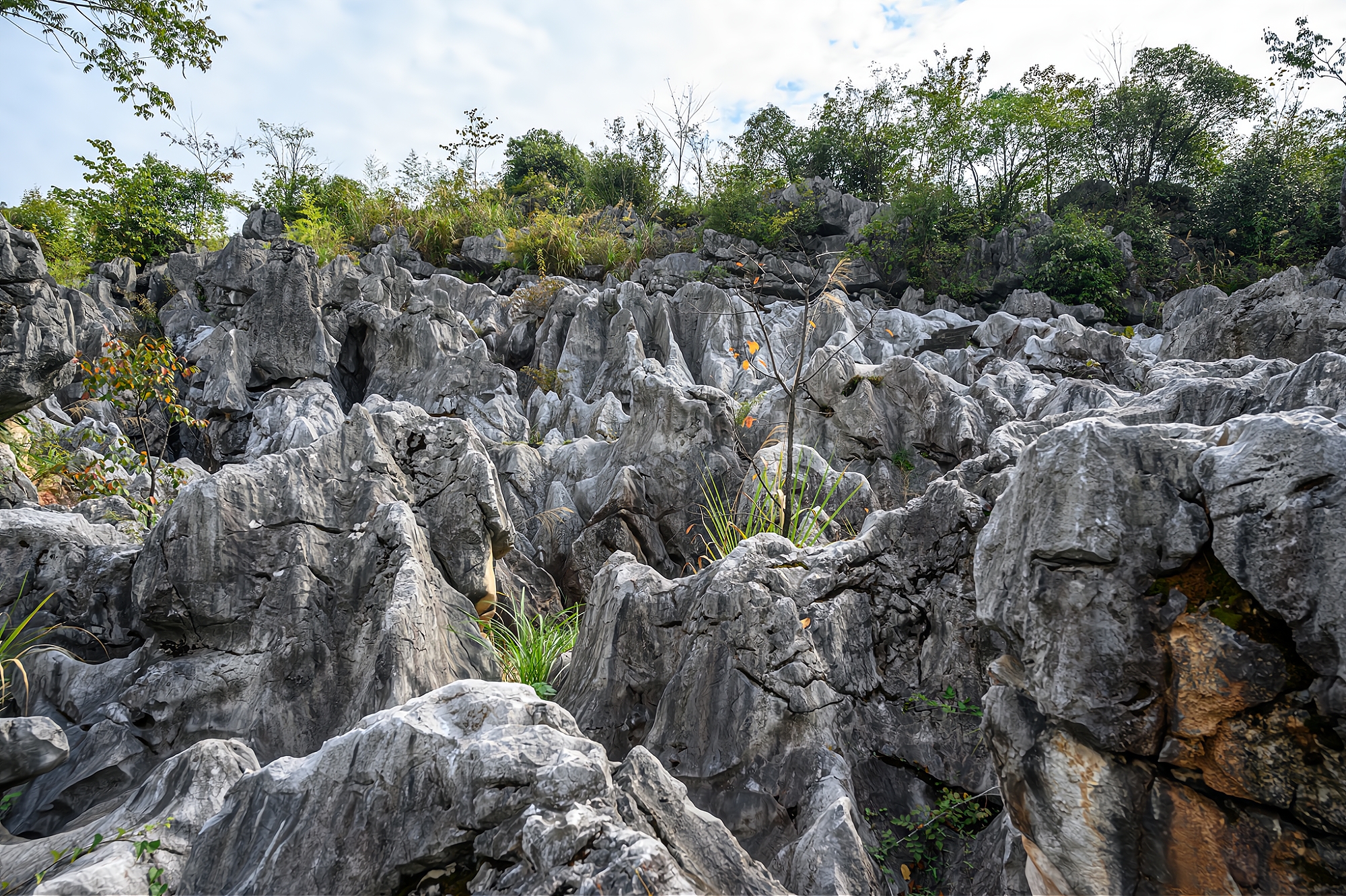 It is one of the four largest stone forests in China. It is as famous as the Yunnan Stone Forest and is known as "the first stone forest in East China"