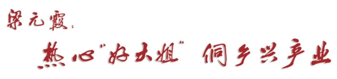 梁元霞：热心“好大姐” 侗乡兴产业