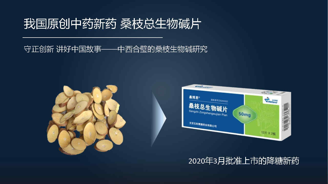 马百平：20分钟详解从有效成分到肠道菌群，中药如何突破？