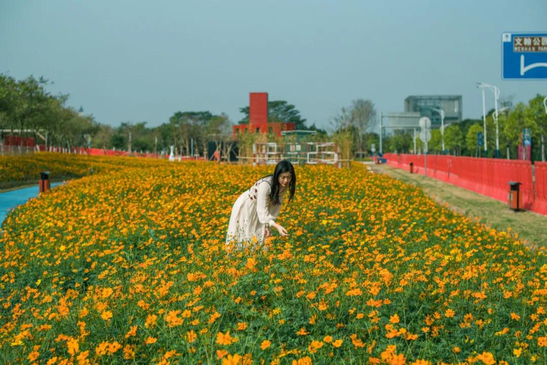 春天花儿悄悄开~
