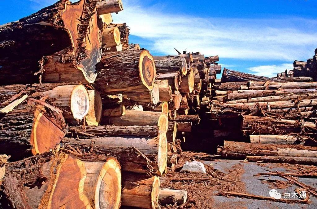 临近年底，木材市场开始悄悄降温？
