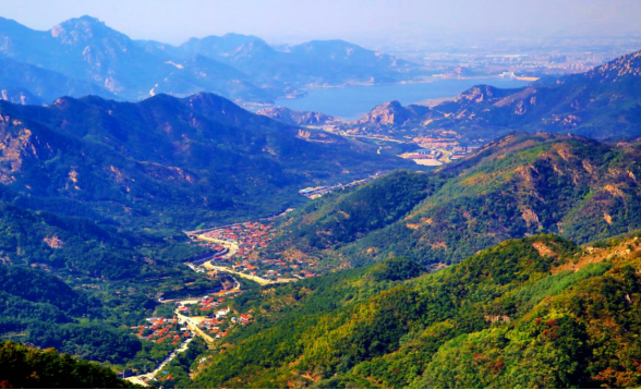 山东青岛：聚力绘就多彩乡村振兴画卷