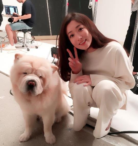 《传闻中的七公主》主演现状：破产，发生车祸