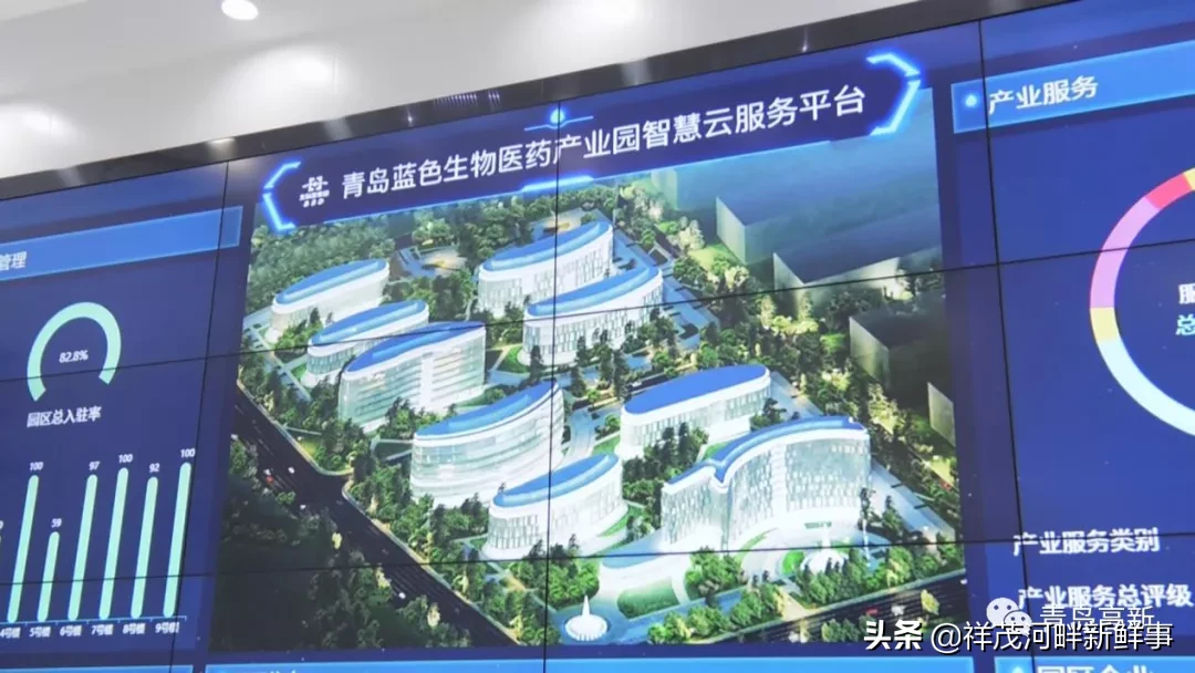 青岛高新区：医疗医药产业高地强势崛起