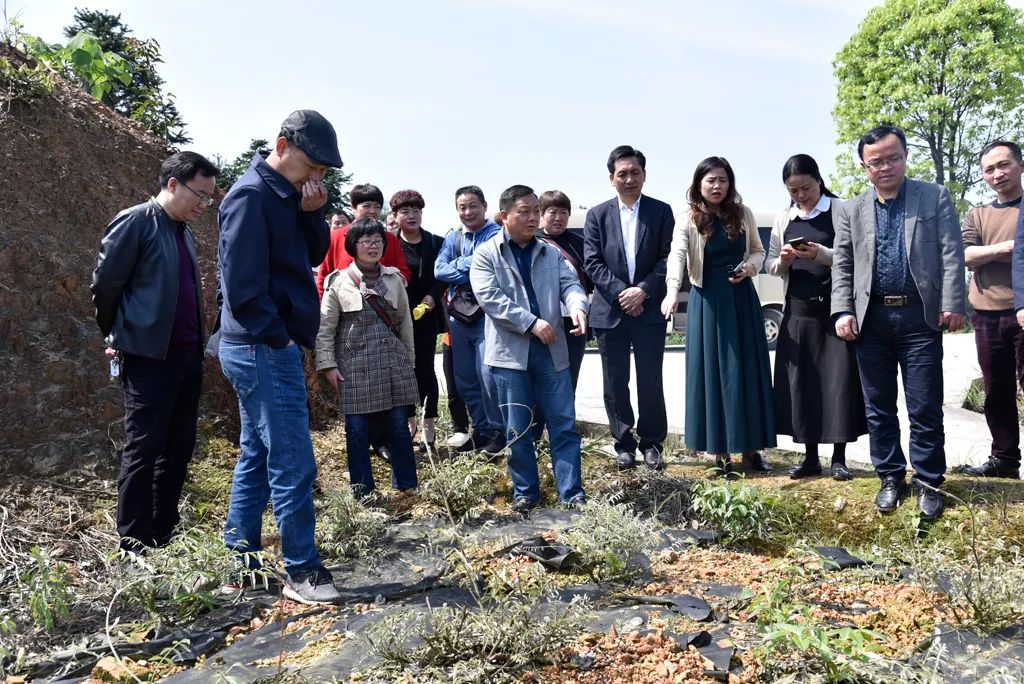 新晃侗族自治县人大常委会组织部分市、县人大代表赴洪江市学习考察