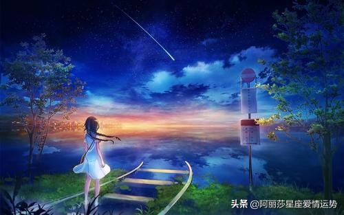 12月6日十二星座每日運勢簡報 阿麗莎星座愛情運勢 Mdeditor