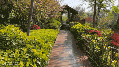 当完全不会拍照的媳妇儿上手测试荣耀30 Pro，你