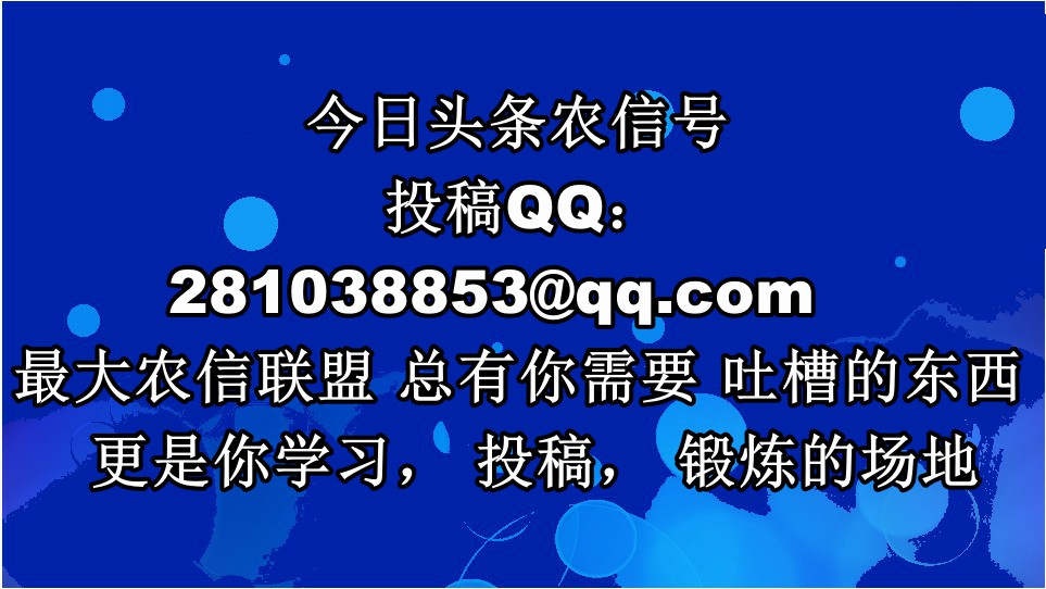 又有银行破产，2021年你的钱该存哪？