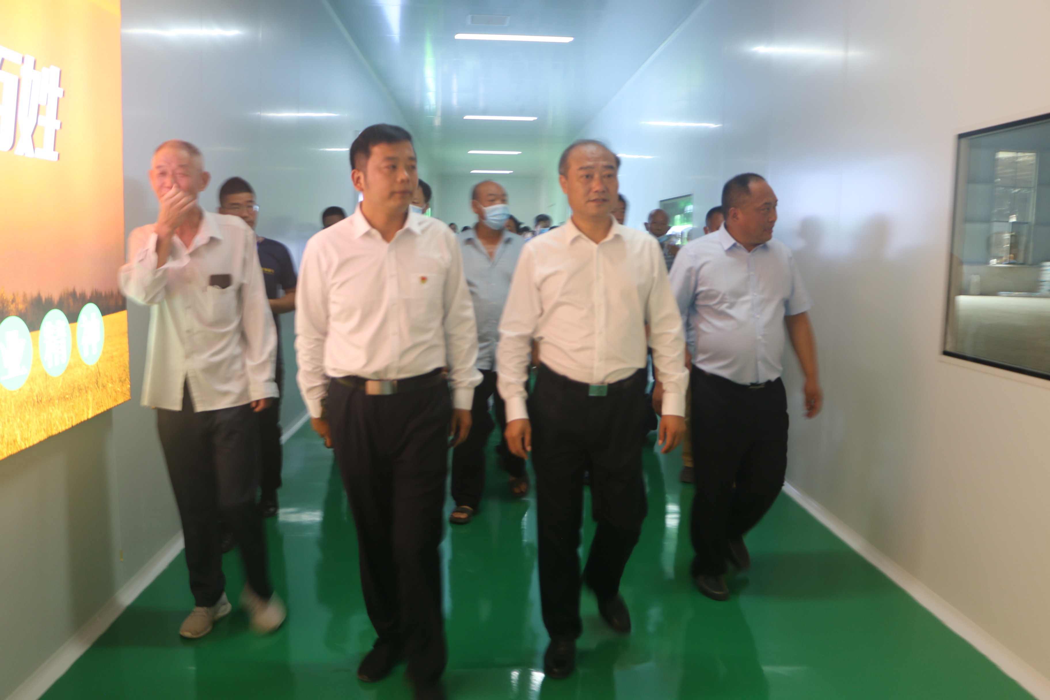 产业撑起致富路“食用菌”助推乡村振兴——信阳市正和农业“好菇粮”食用菌基地三期项目顺利投产