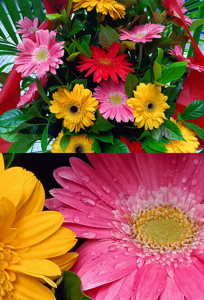 千元级5G手机耐看还有三摄？OPPO A72随拍体验