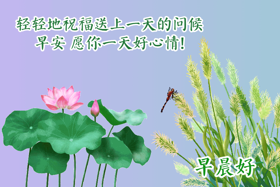 适合恋人早安心语  早上早上好图片漂亮祝福图片