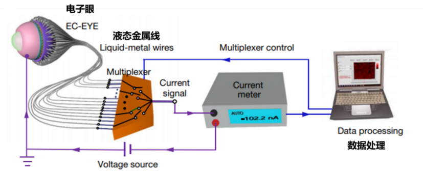 香港科大设计出世界首个3D人工眼球，比人眼看得更远更清楚