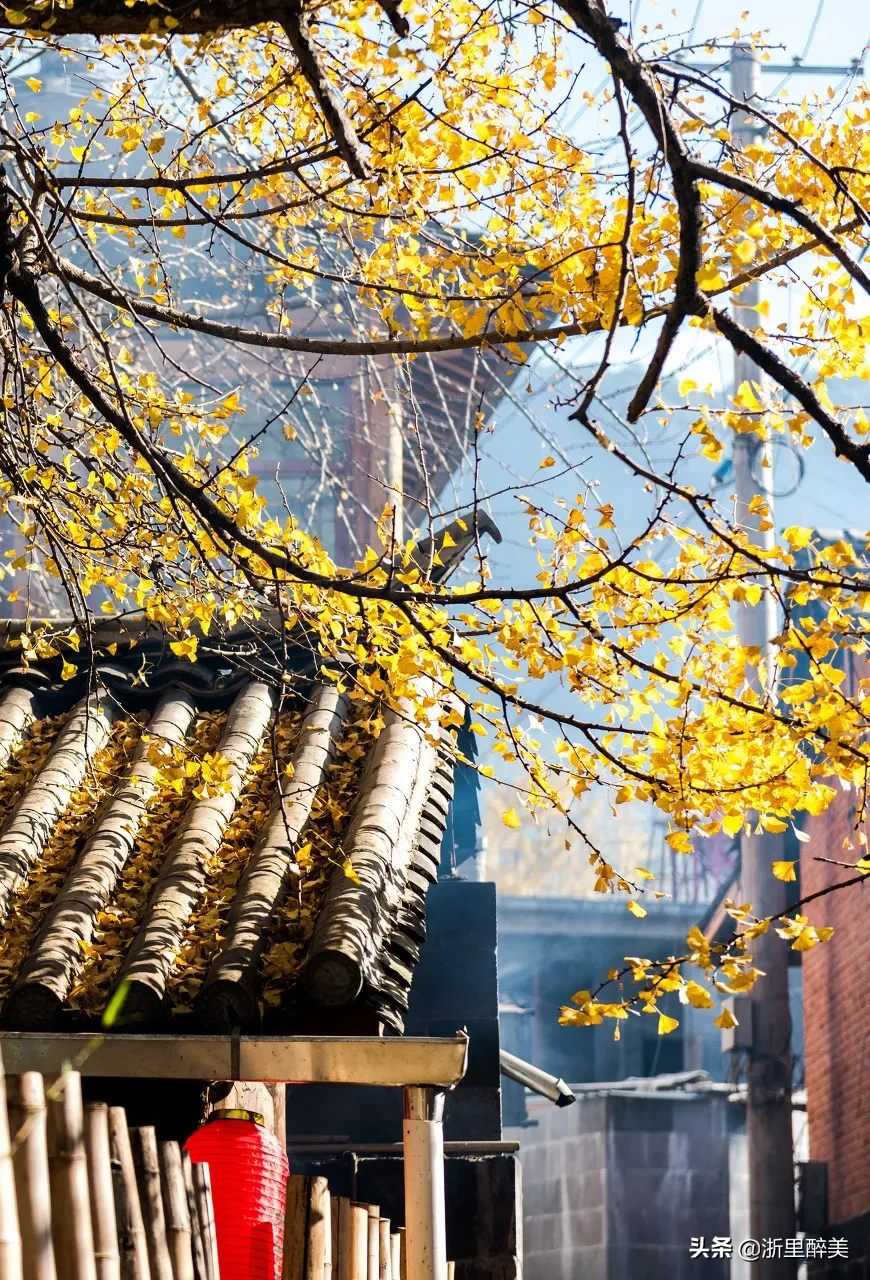 10 ancient towns with beautiful autumn colors, if you are tired, go to stay for a few days